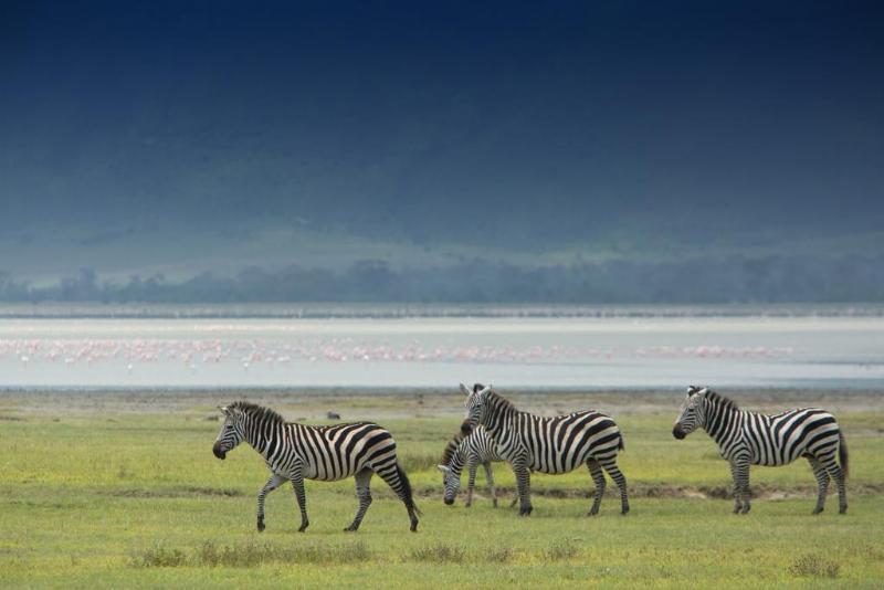 Kenzan Mara Tented Camp Serengeti Esterno foto